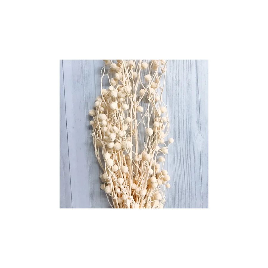 Sago – per bunch